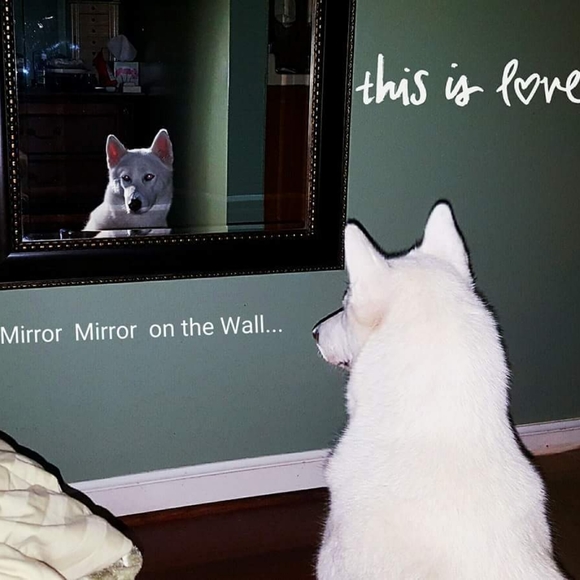 Meet your Posher, Michele π - Picture 6 of 16